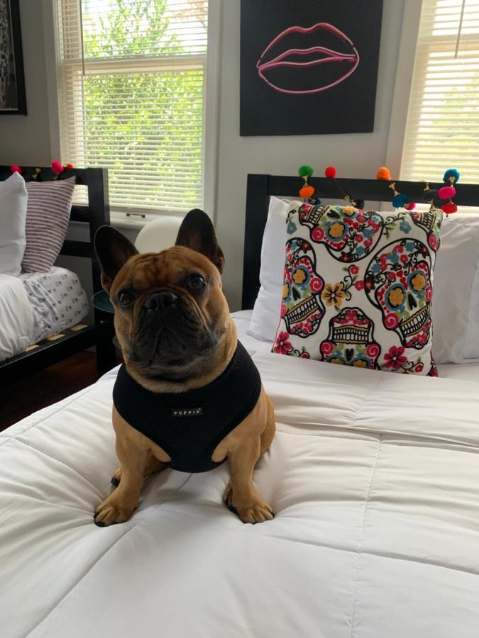 Vibing In The Heights/Breweries/Food/Petfriendly Villa Tampa Kültér fotó